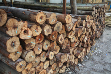Stack of wood logs for sales