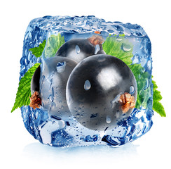 Black currant in ice cube