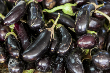 Eggplants