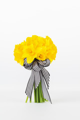 Yellow daffodil bouquet with white background and light shadow