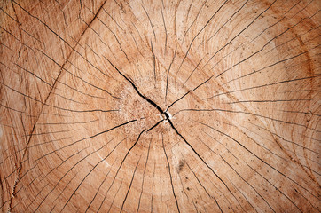 cracked wood board timber,Wooden wall background or texture
