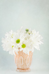 White daisies in small vase with textured background.