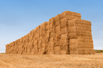 wall of many balestraw stacked on gradient blue sky background