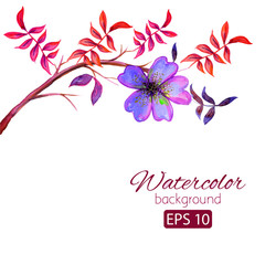 Obraz premium Watercolor card with decorative colorful flowers and copy space