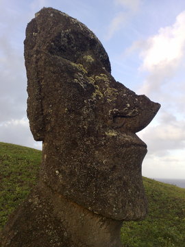 easter island statue (moai), closeup