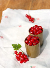 Red currants on a white background