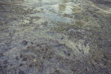 Water on Coral Reef