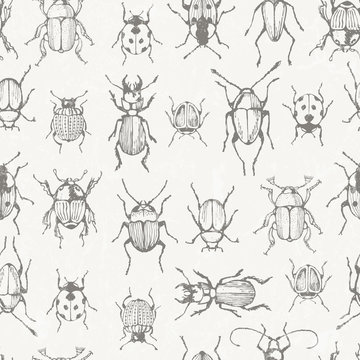 Seamless monochrome pattern with bugs.