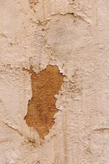 provence style background