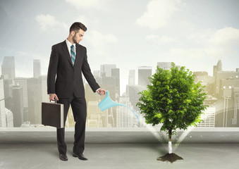 Businessman watering green tree on city background