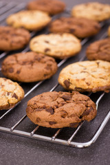 Fresh chocolate chip cookies on the cooling rack