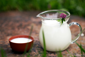 Glass Jug of the milk with pink clover on green grass background
