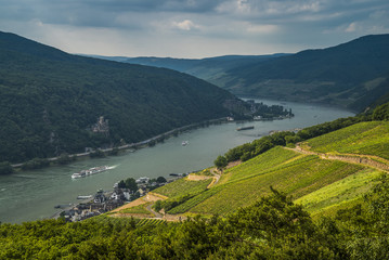 Rhein zwischen Burg Rheinstein und Assmannshausen