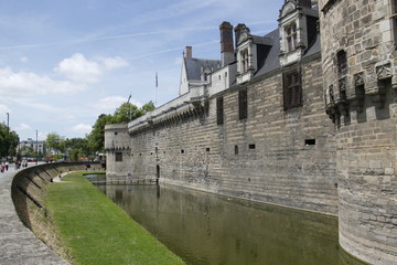 Douve devant le Château des ducs de Bretagne à Nantes	