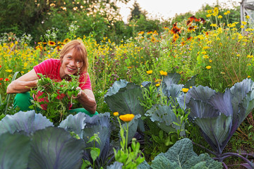 In the flower and vegetable garden
