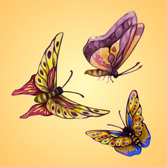 three color butterflies