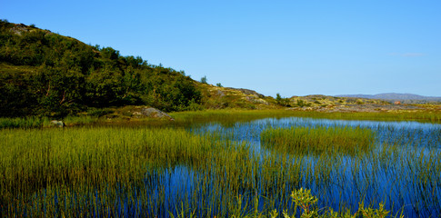 Лето на Кольском полуострове