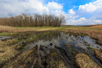 Flooded mud road