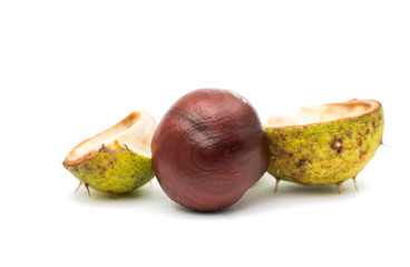 fruit chestnut