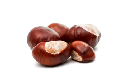 fruit chestnut