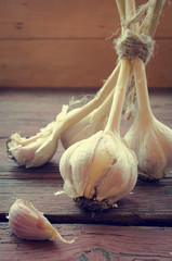 Old organic garlic whole and cloves on the wooden background