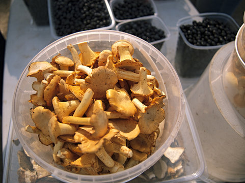 chanterelles mushroom, market in Russia