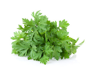 Fresh garden herbs. Parsley