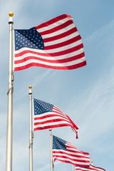 American flags on the blue sky in Washington DC