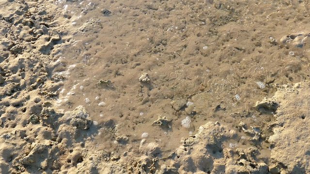 Die Flut kommt