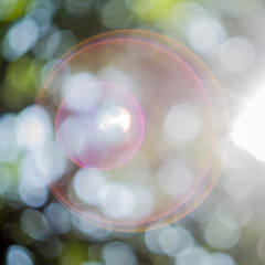Forest Green background, blur flare rays