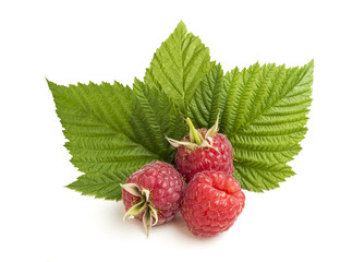 group of raspberry with leaf on white background