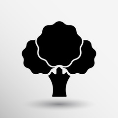 Broccoli abstract isolated on a white backgrounds