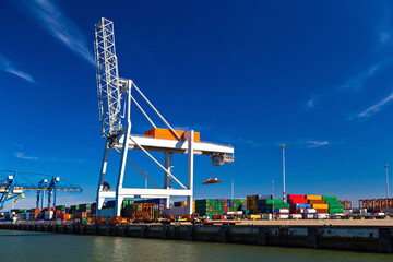 Fototapeta premium Large container crane in Port of Rotterdam waiting to unload the vessel