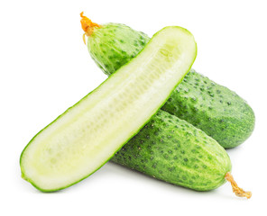Cucumber