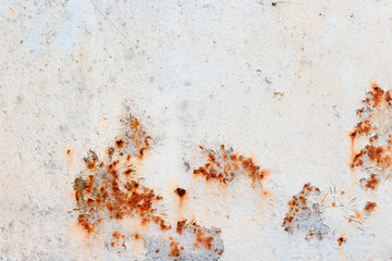 A background of peeling paint and rusty old metal