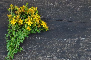 Sheaf of St. John's wort