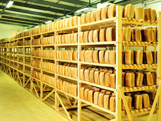 Bread in the man hands Bakery Stocks bread Manufacture of rusks.