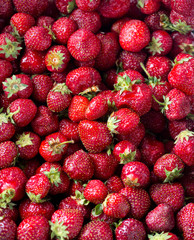 strawberries background
