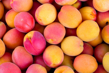 fresh apricots background