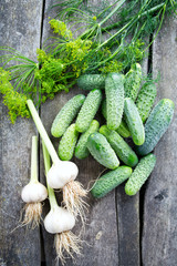 fresh cucumbers on wooden table