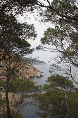 Seascape in Costa brava