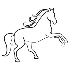 Obraz na płótnie Canvas HORSE outline symbol vector