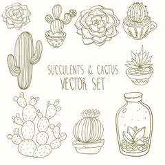 Foto op Canvas Vetplanten en cactus vector handgeschilderde set © julkapulka13