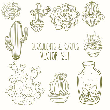Succulents and cactus vector handpainted set