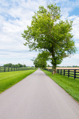 Country road surrounded the horse farms.