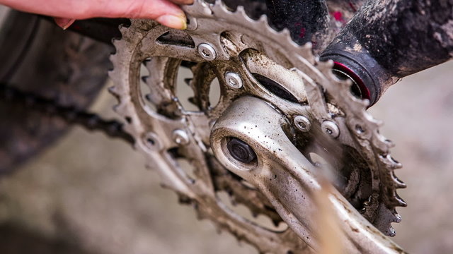 Chainring Oiling With Brush During Bicycle Maintenance Process 