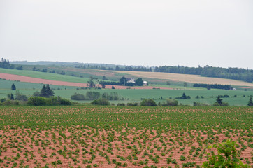 View of fields and forests of Prince Edward Island