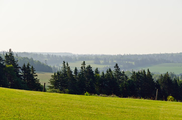 View of fields and forests