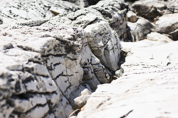 Rocks at the beach