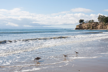 Santa Barbara Seascape